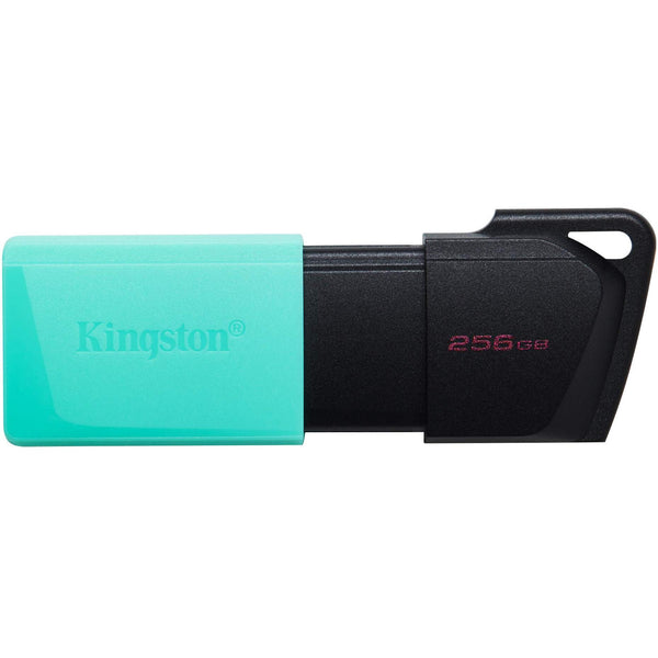 Kingston DataTraveler Exodia M USB Flash Drive with Moving Cap DTXM/256GB IMAGE 1