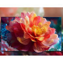  Hisense 32-inch Hi-QLED HD Roku Smart TV 32QD4HSR IMAGE 12